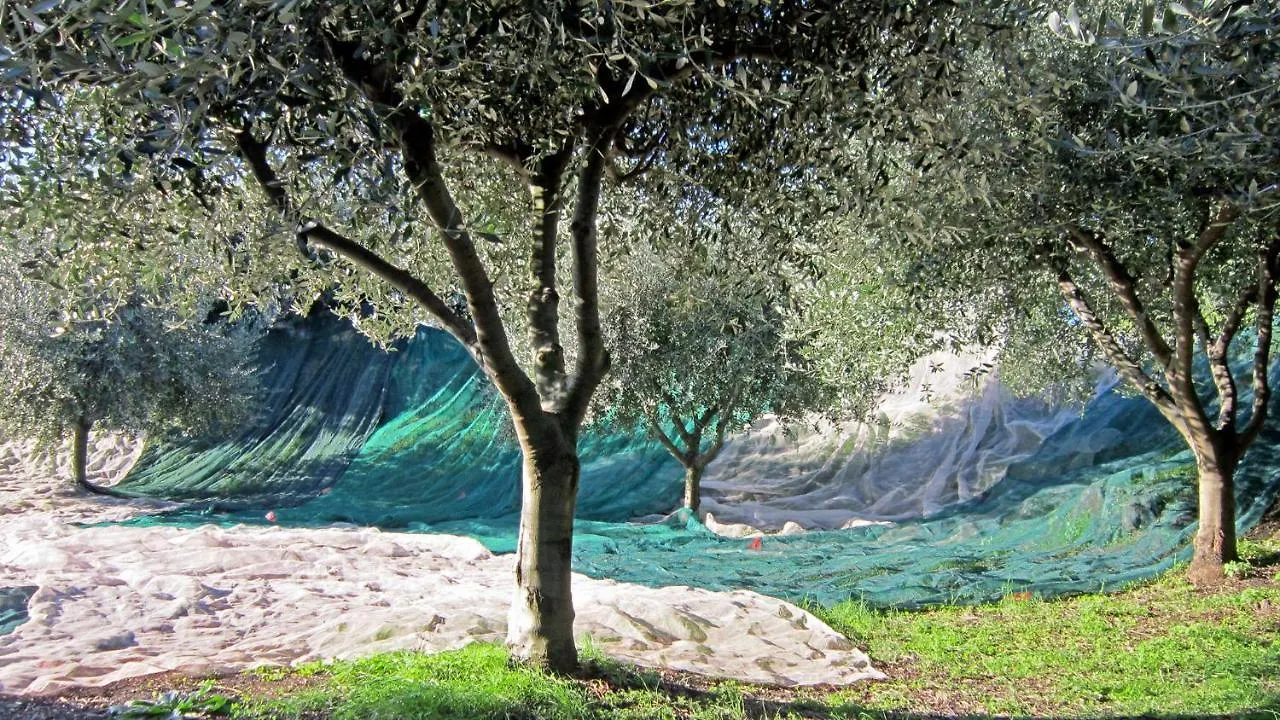 Case Perrotta SantʼAlfio Bauernhof